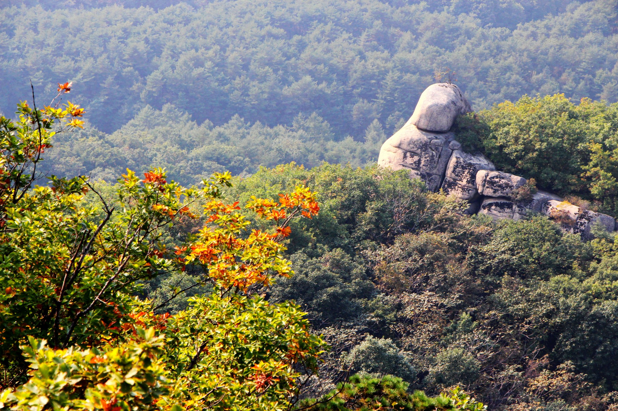 鳳凰山在哪,遼寧鳳凰山在哪,鳳凰山門票