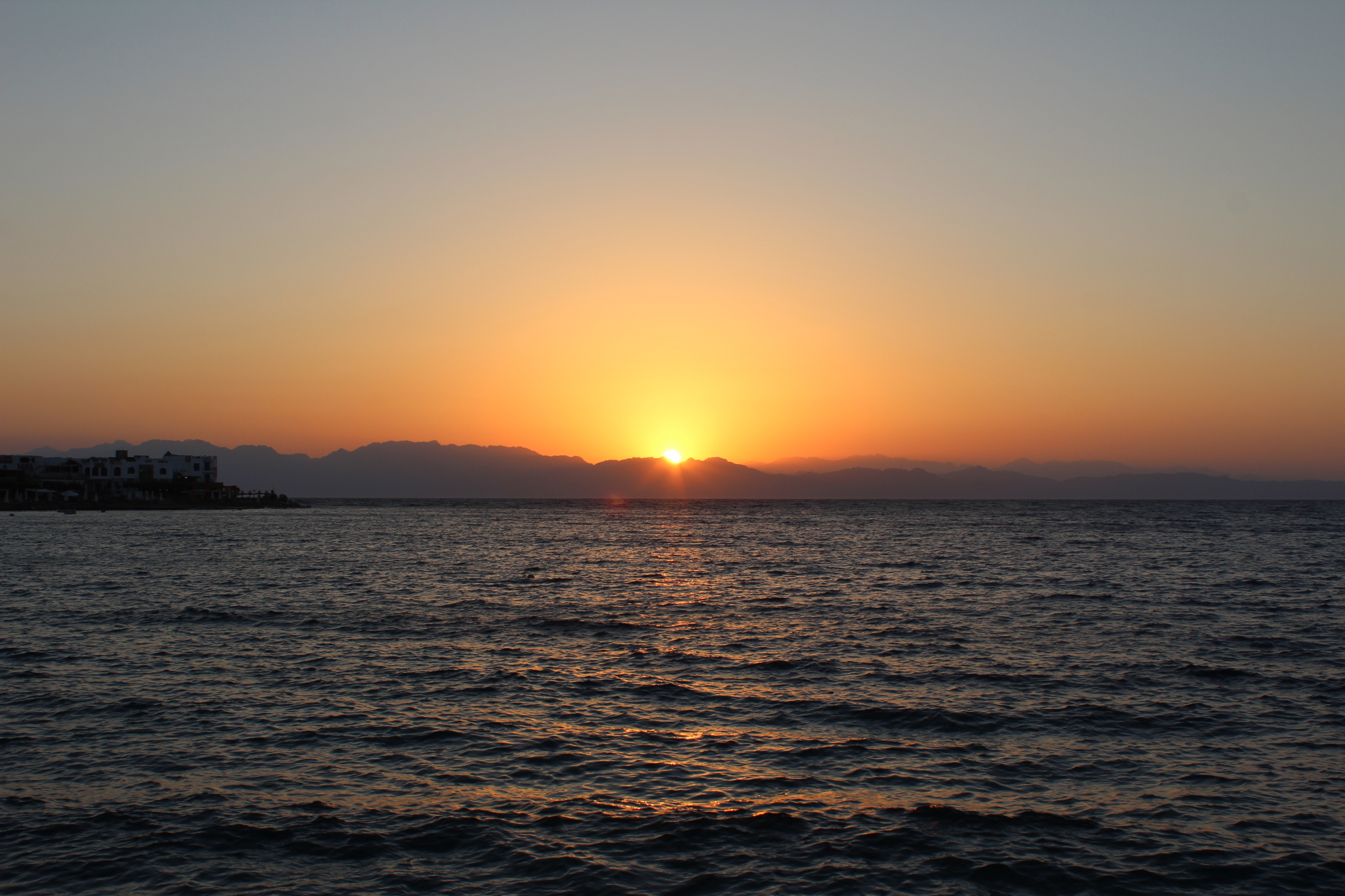 蔡家大小姐在埃及1独爱红海那片蓝dahab大哈巴潜水