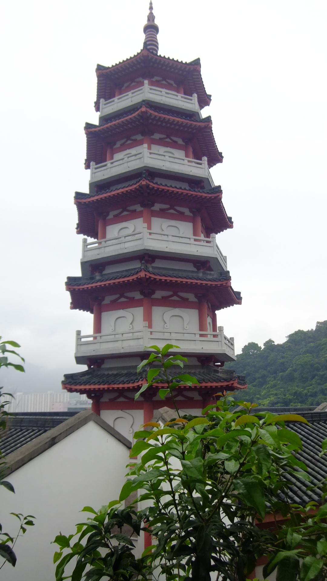 宝福堂这里是宝福山  .这张照片很珍贵!