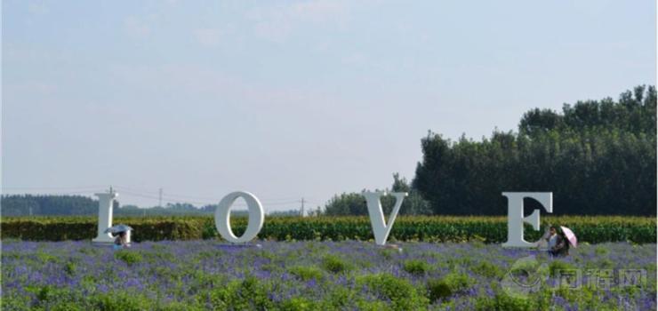 智博薰衣草庄园 智博薰衣草庄园