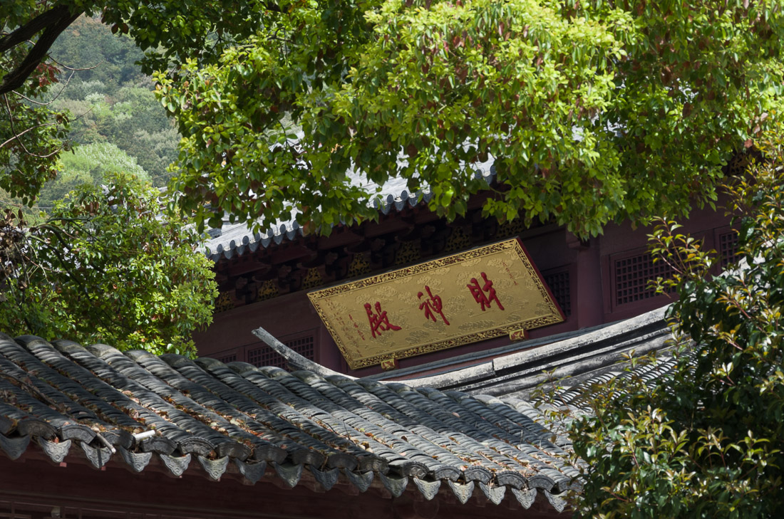 走马观花游常熟,一个平和,美丽,值得再游的城市