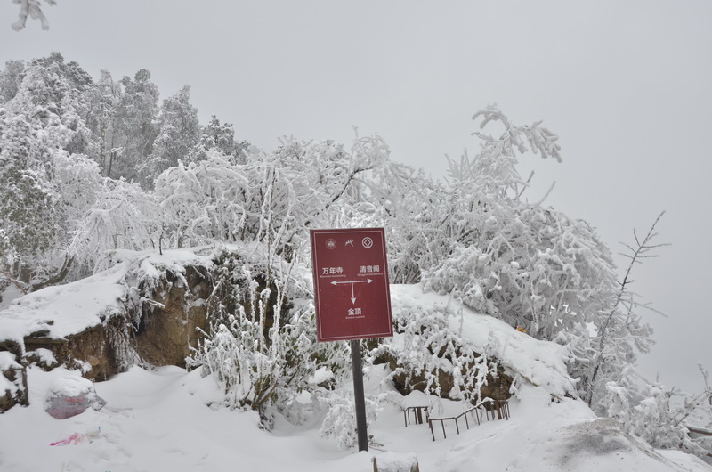 峨眉山市九岭岗攻略,九岭岗门票_地址,九岭岗游览攻略 - 马蜂窝