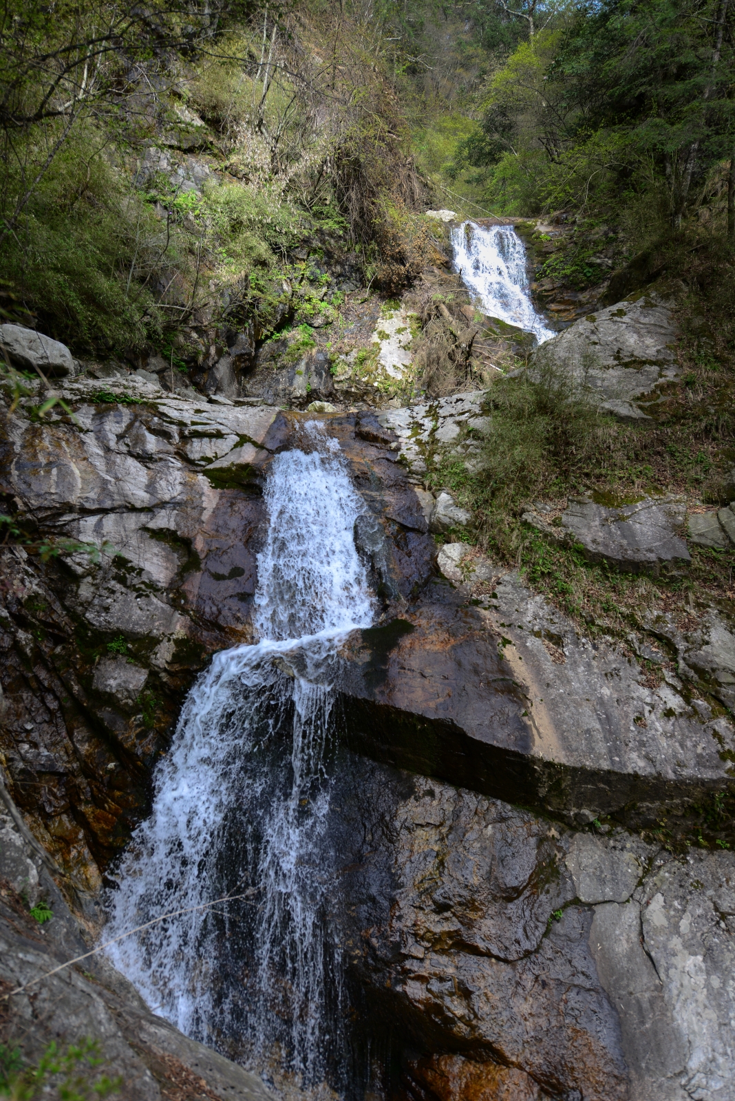 秦岭佛坪凉风垭