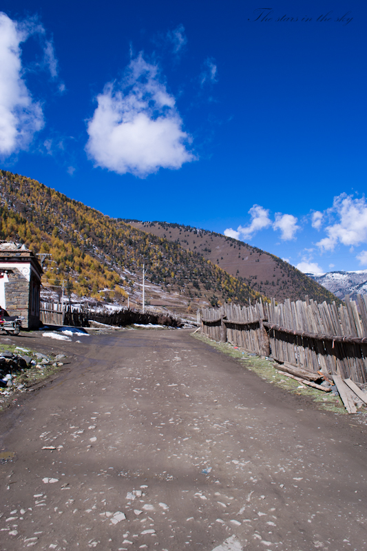 多了,花开了,会很美朗格曼因达多曼因垭口远眺贡嘎  群峰木雅贡嘎垭口
