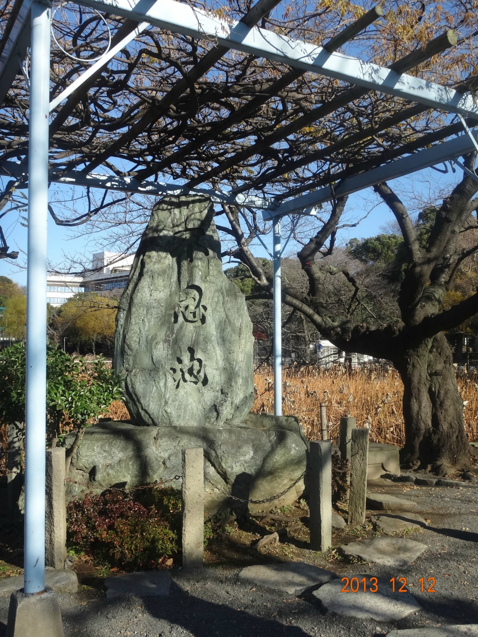 東京自助遊攻略