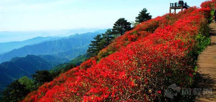 麻城龜峰山風景區(直通車)