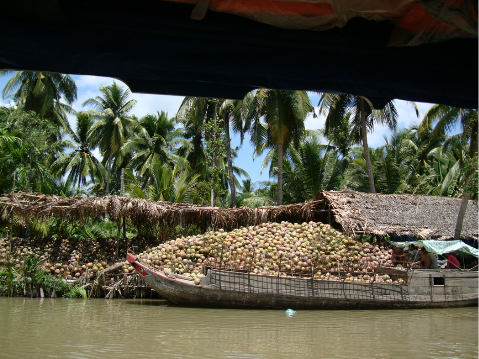 杜拉斯的情人和青木瓜之味道 越南 2010