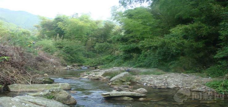 《爸爸去哪儿》平江福寿山白寺村