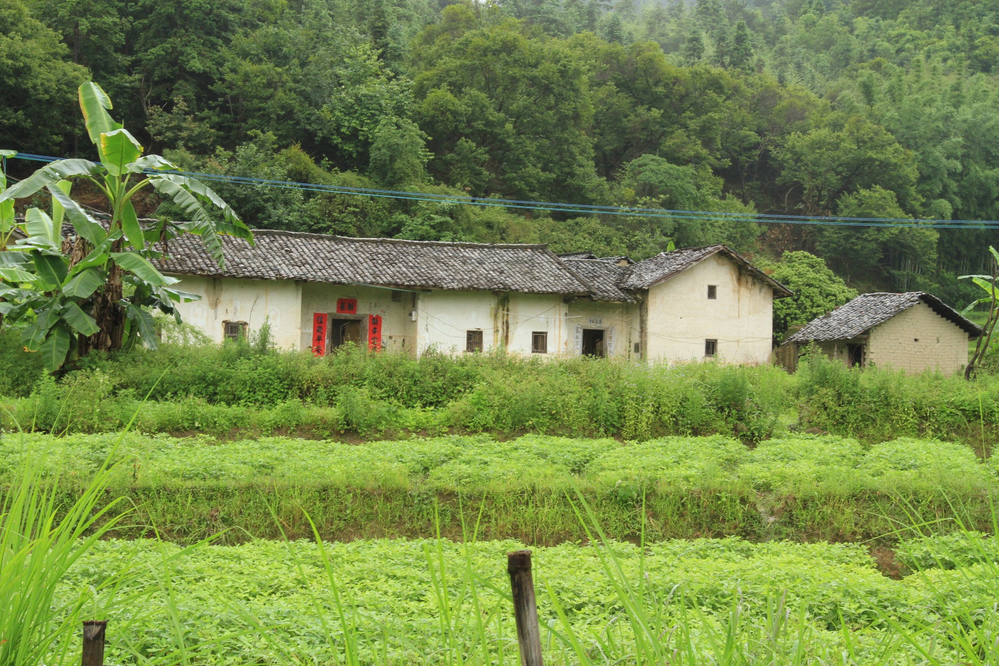 雨后双田村,河源旅游攻略 马蜂窝