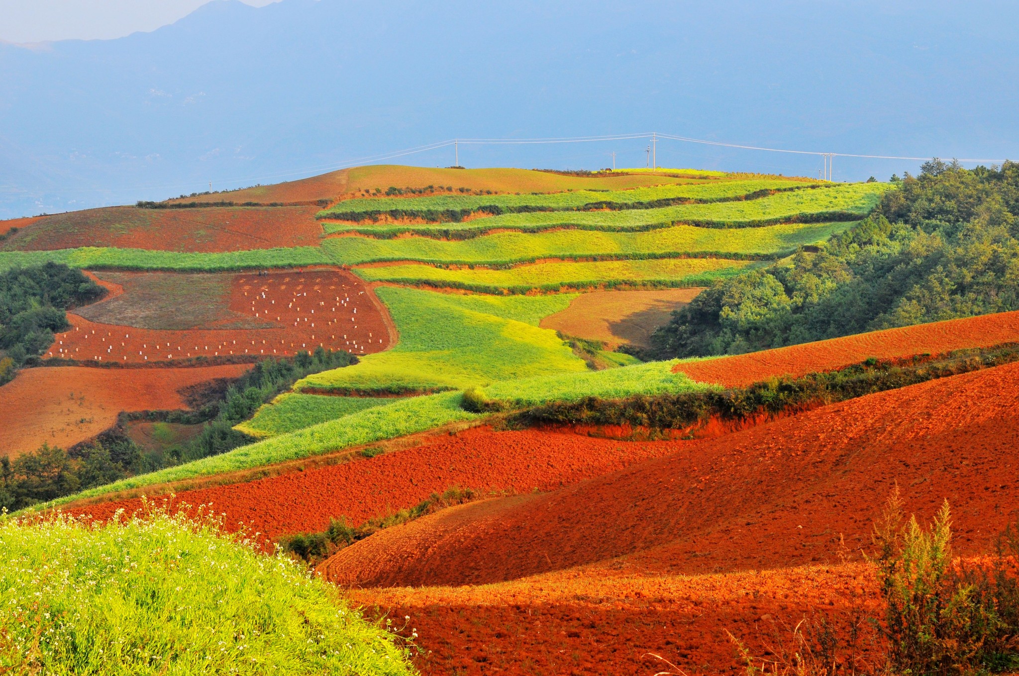 东川红土地景区放眼望去,那山川,那原野——艳丽斑斓,你会感叹天地间