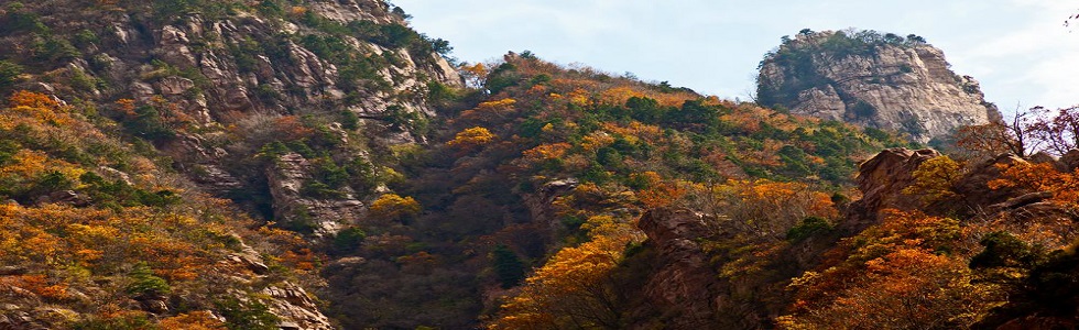 沁水