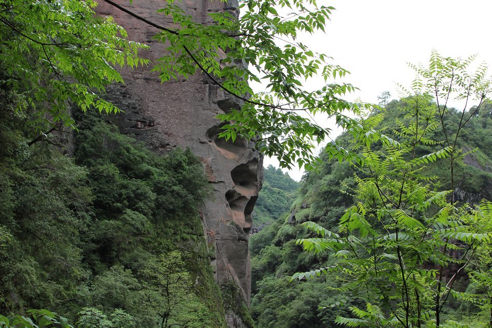 初夏遊泰寧寨下大峽谷