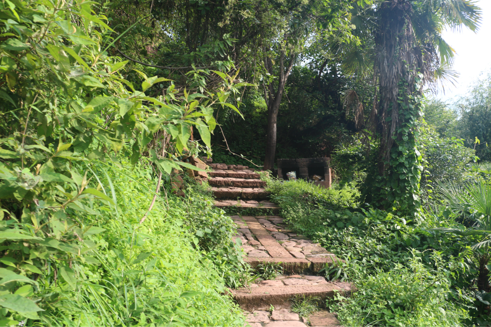 還是古道,繼續向上,拐角處,或許有更美的風景,這麼一想,腳也不顫了.