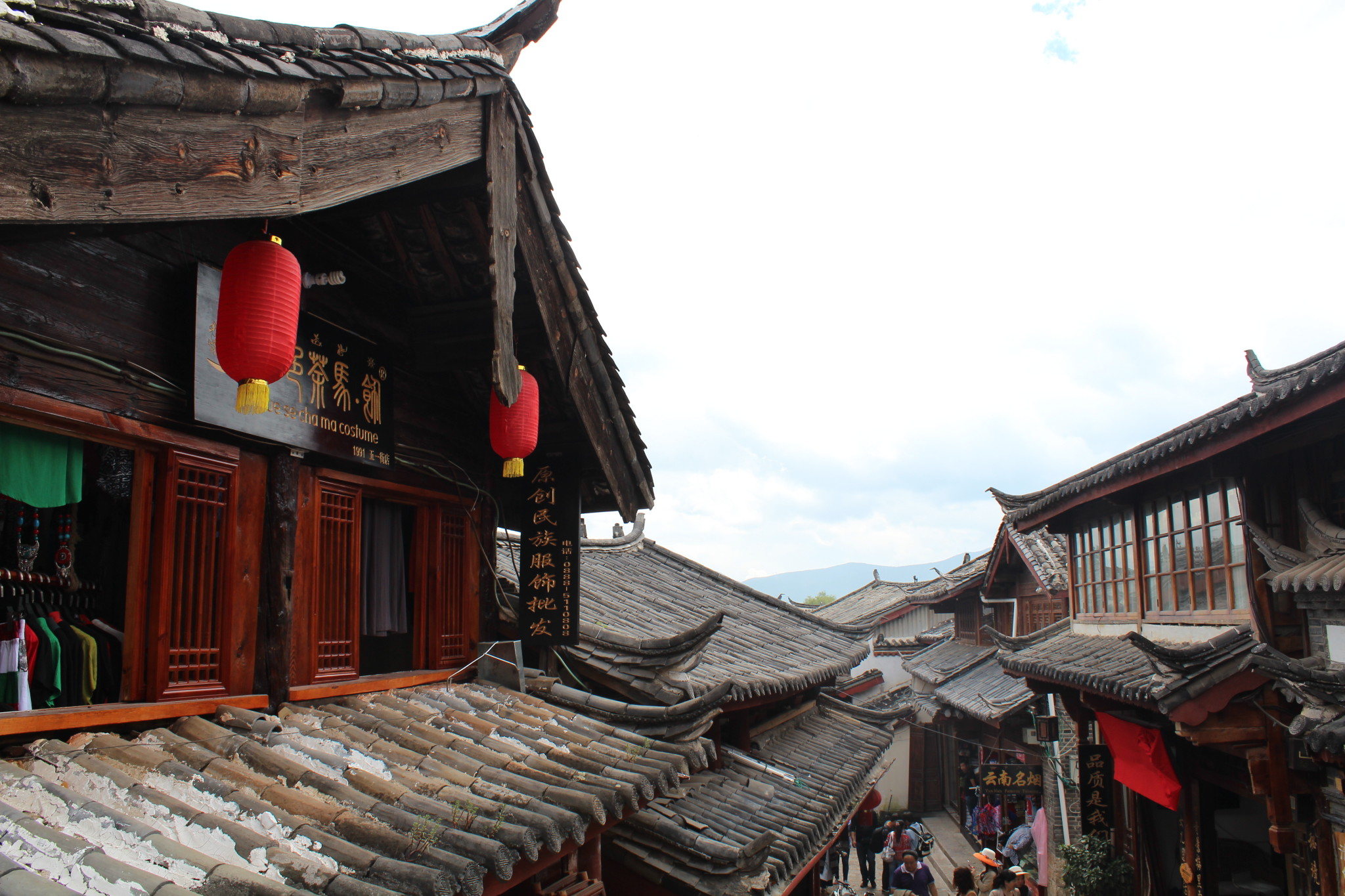 但丽江古城的【大研古镇】,是我见过众多古镇里花花草草比较繁花簇锦