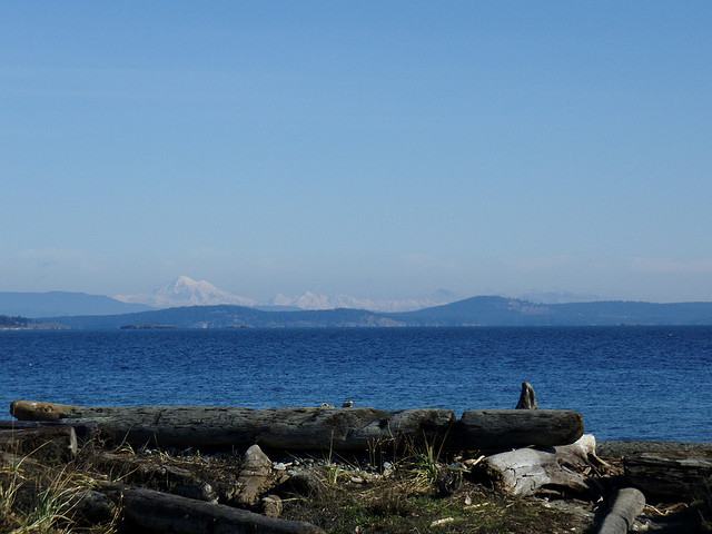 首府地区娱乐-Island View Beach Regional Park