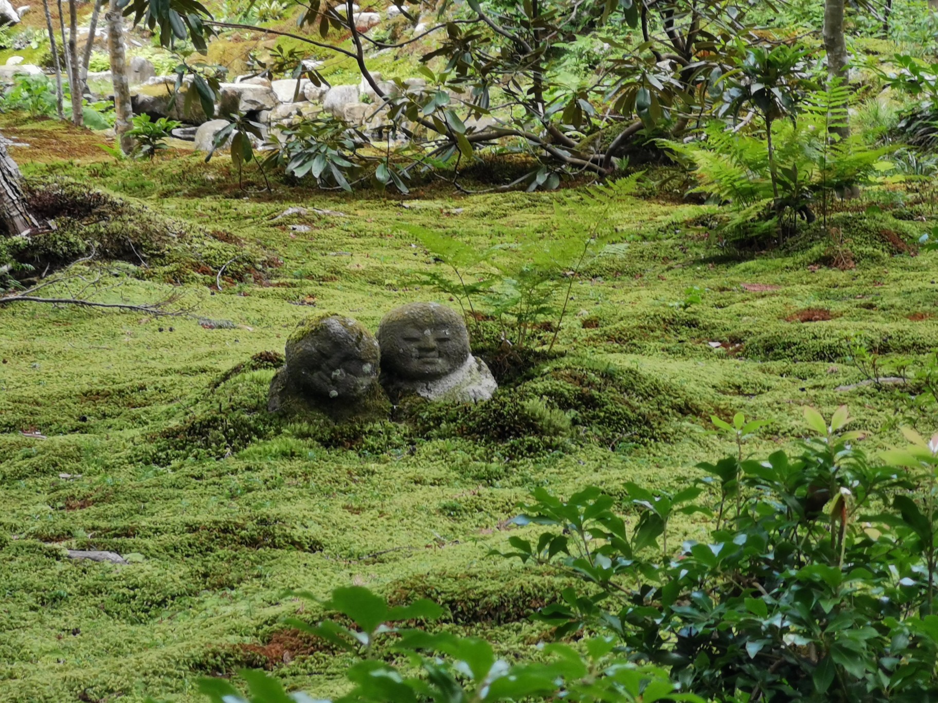 京都自助遊攻略