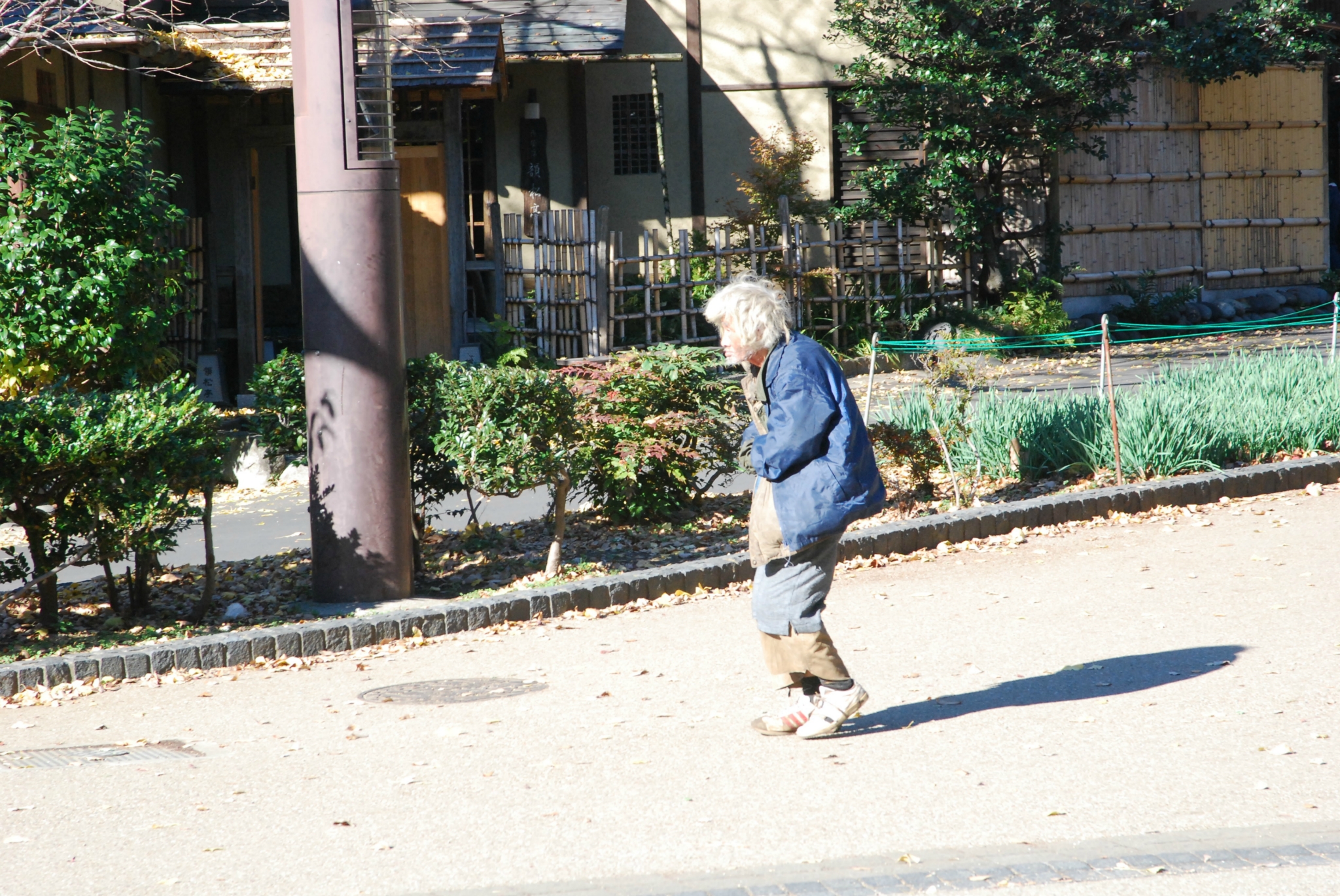 東京自助遊攻略