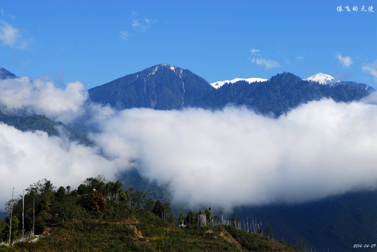 莲花盛放-2014年五一墨脱秘境之旅