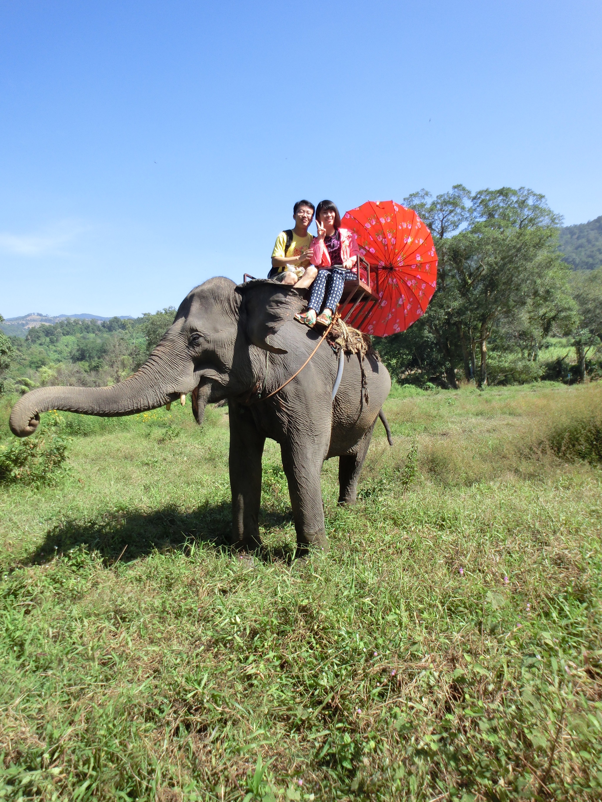 骑大象骑大象骑大象在看大象表演的时候,我注意到一边有一只小象,大概