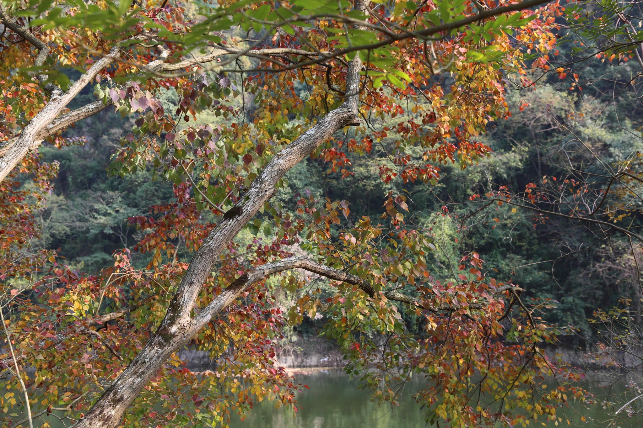 五泄风景区秋天照片图片