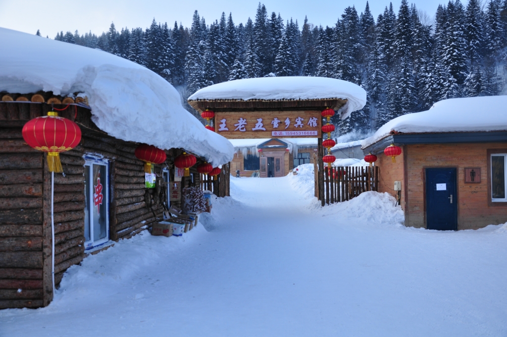 亞布力雪鄉自由行攻略】一個人旅行·去東北撒點野(哈爾濱,雪谷,雪鄉