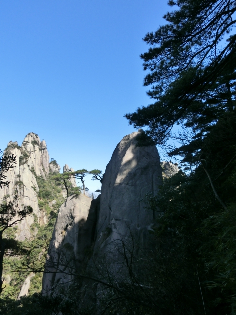 雏鸡岀壳