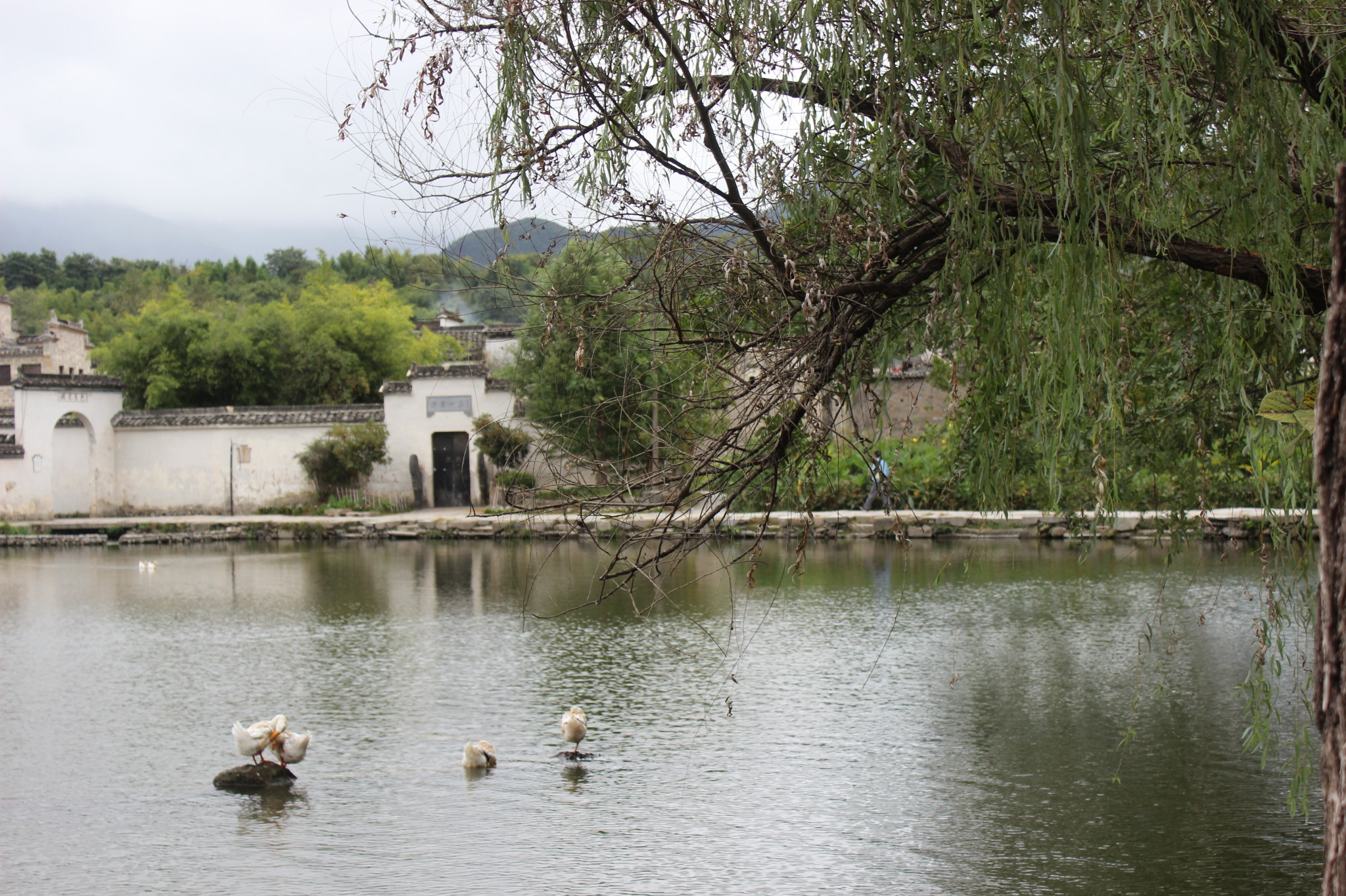 宏村——皖南牛形徽派民居村落(世界历史文化遗产),宏村自助游攻略