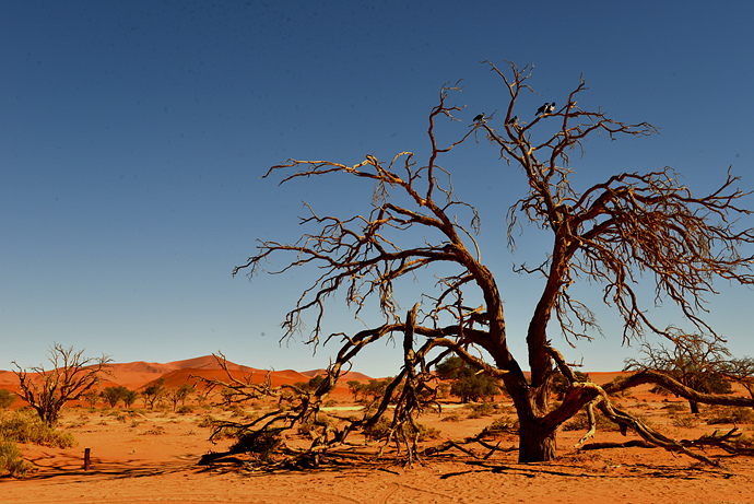 纳米比亚索苏斯维利死亡之谷图组45p