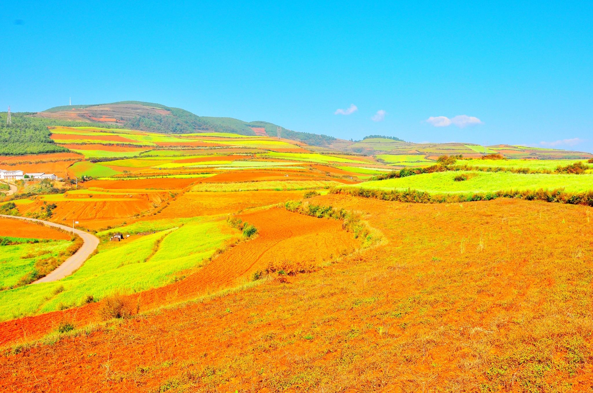 落日的余辉把红土地染成了桔黄色东川特色---站着赶马车第三天10月26