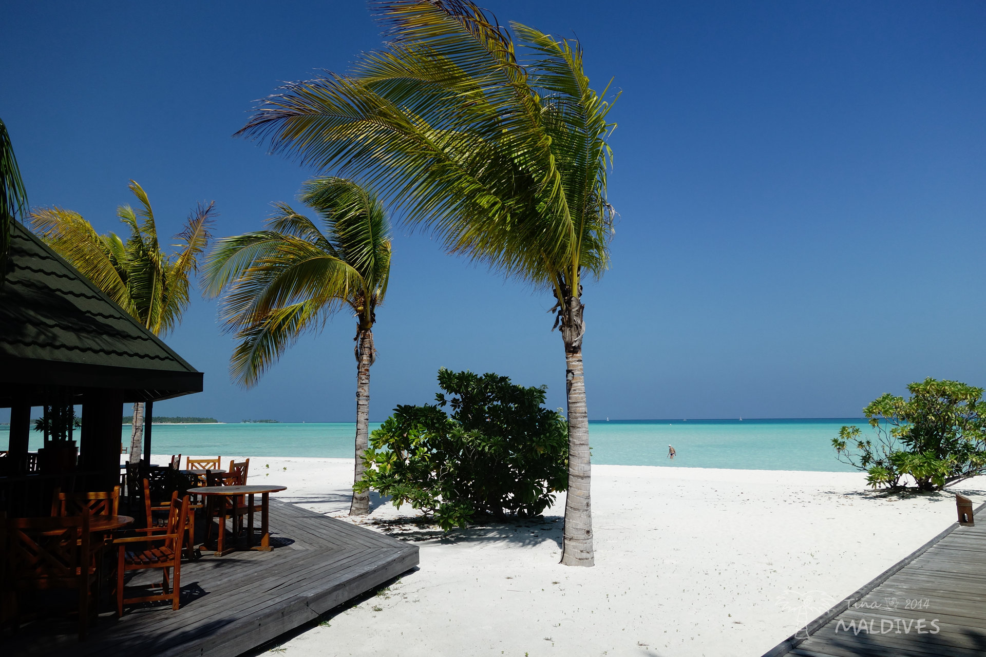 心中最不舍的那一抹绿-2014年初马代假日岛游记1,马尔代夫自助游攻略