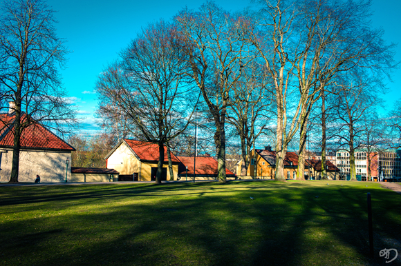 东约特兰美食-Scandic Linkoping City