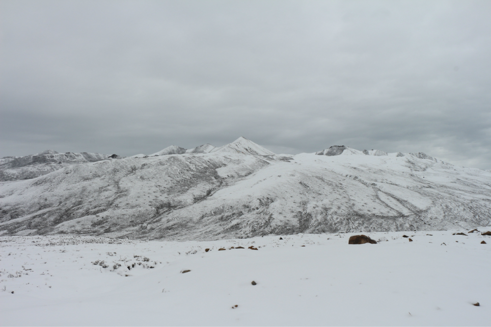 居然跟晴姐是高一耍滴一个劲的爬雪山,我拍他们,他们拍我雪刺的眼瞎