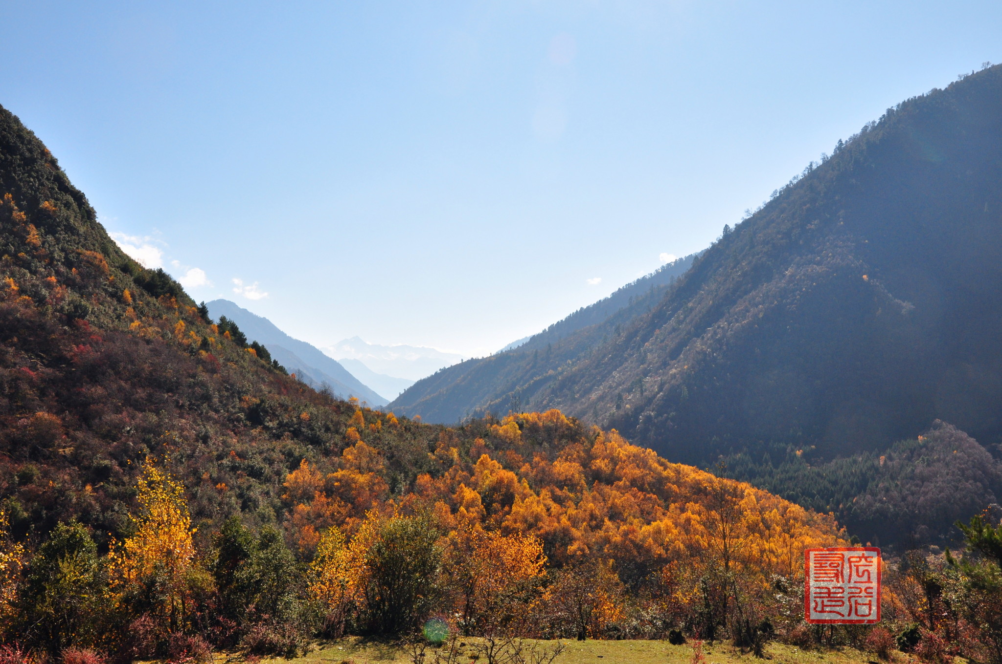 遠方的雪山,是不是就是希爾基神山,我不確定.孩子們撒歡兒啦!