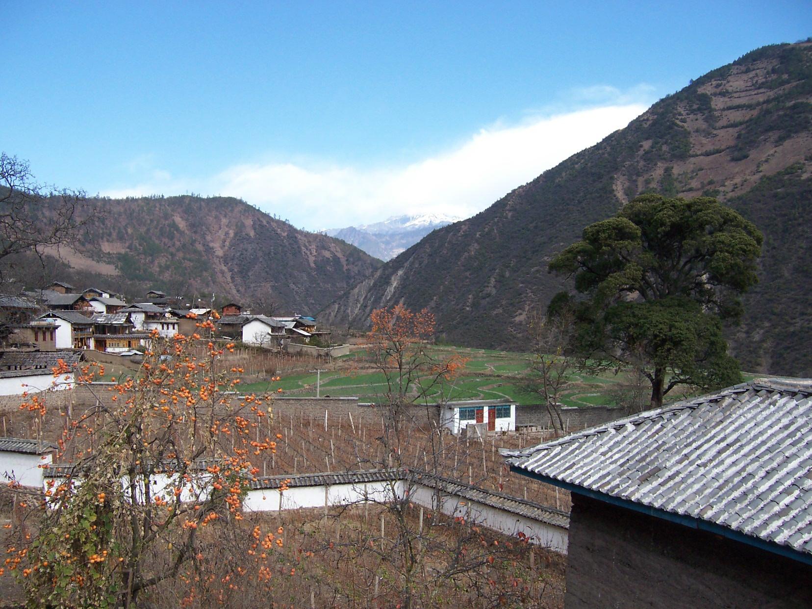 德钦茨中村攻略,茨中村门票_地址,茨中村游览攻略 - 马蜂窝