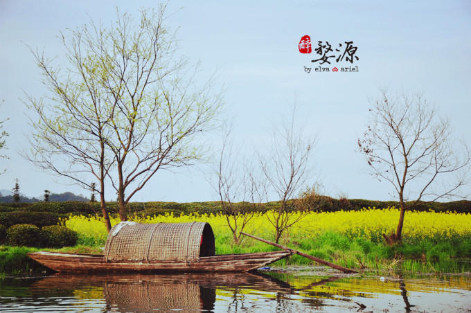婺源油菜花赏花全指南 3 wKgB4lMzuGGAOZGmAA16DyLOijg73