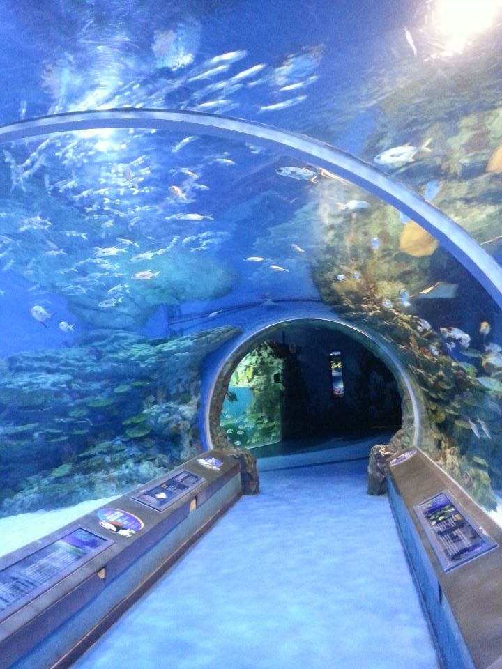 回家的路,途径成都单人行