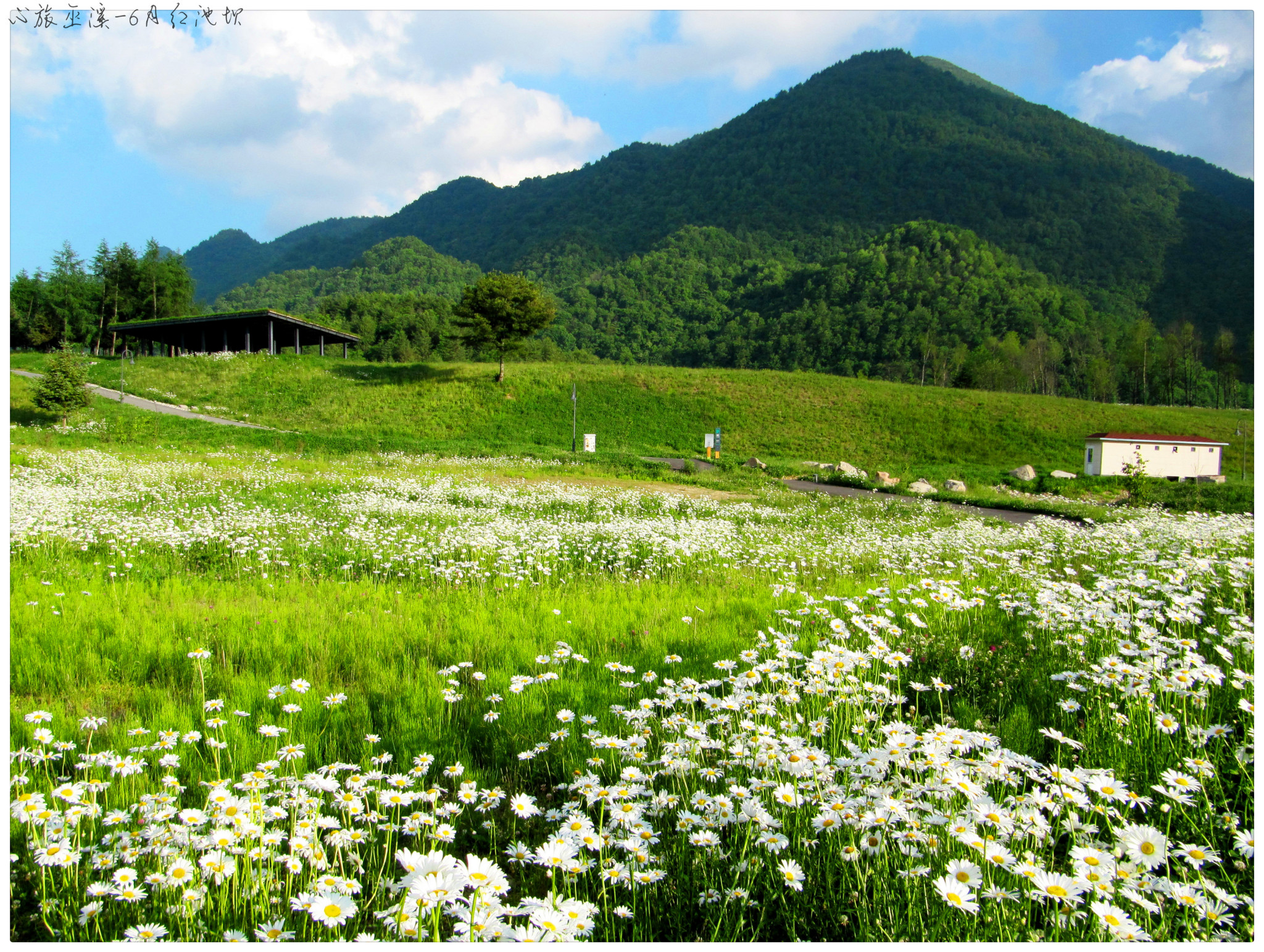 那一片宁静的山野—记忆初夏的红池坝