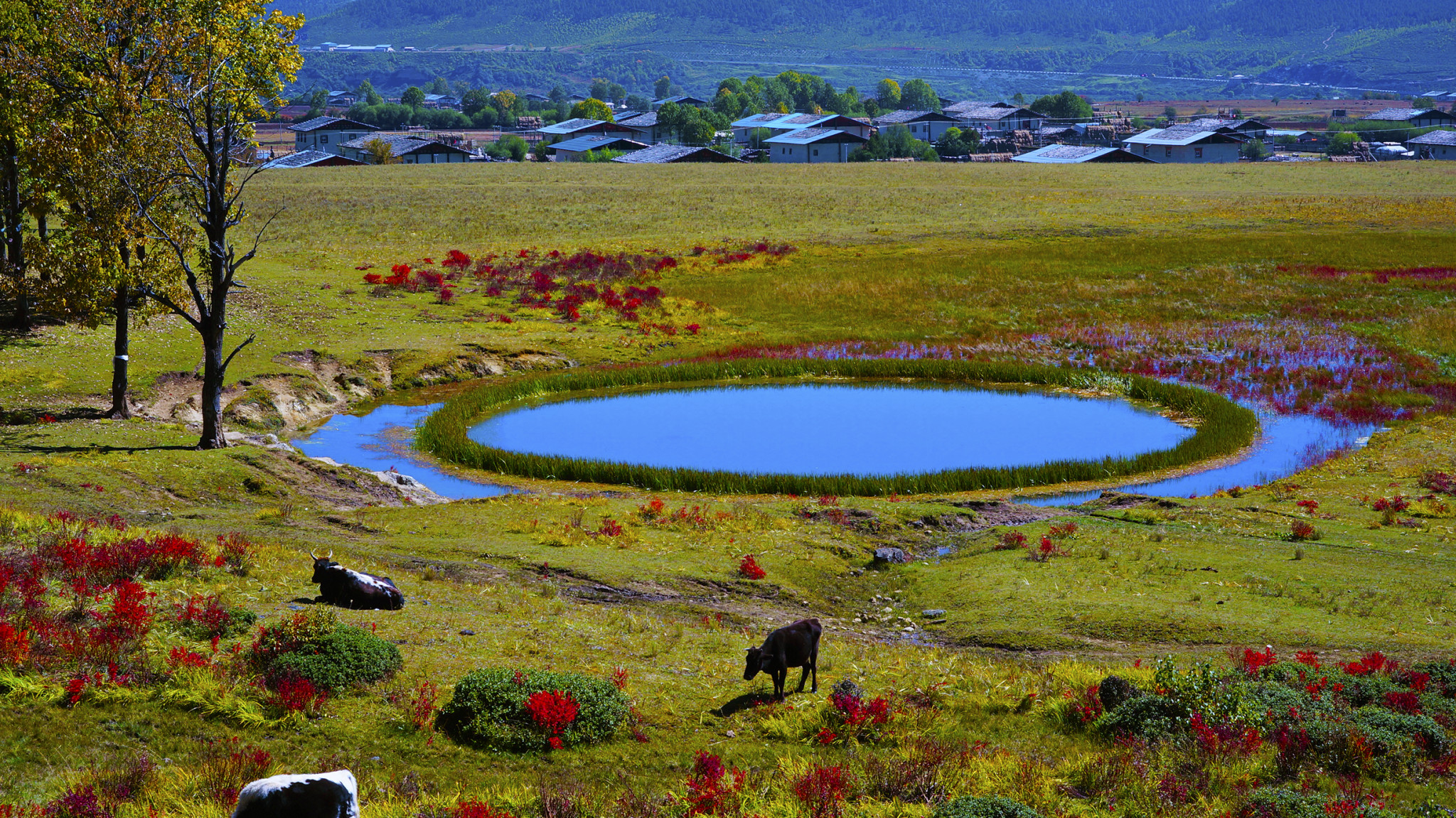 【六月旅游好去处】2018六月适合去哪里旅游，六月去哪里旅游好 