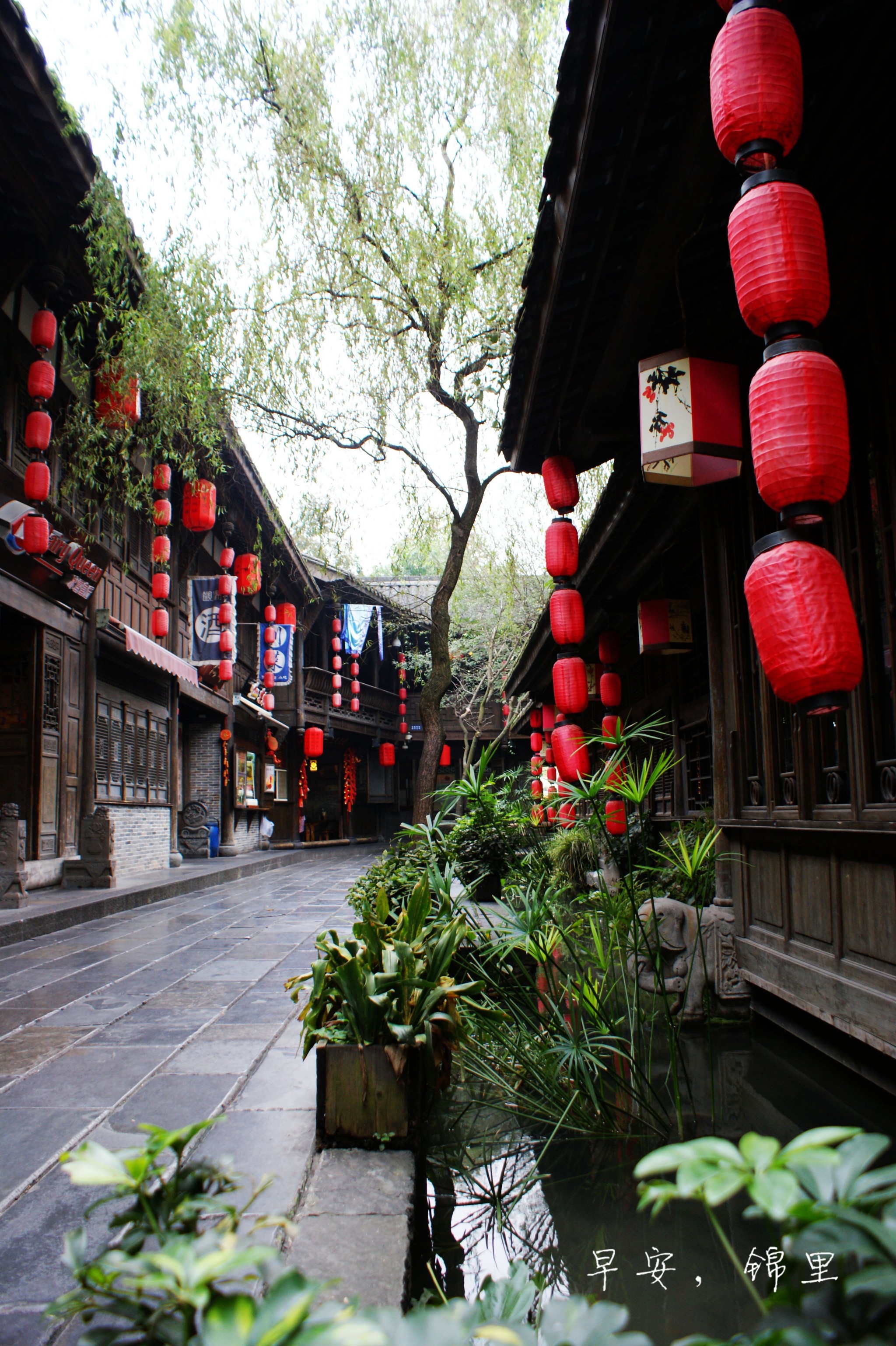一个人的旅行成都锦里宽窄巷子