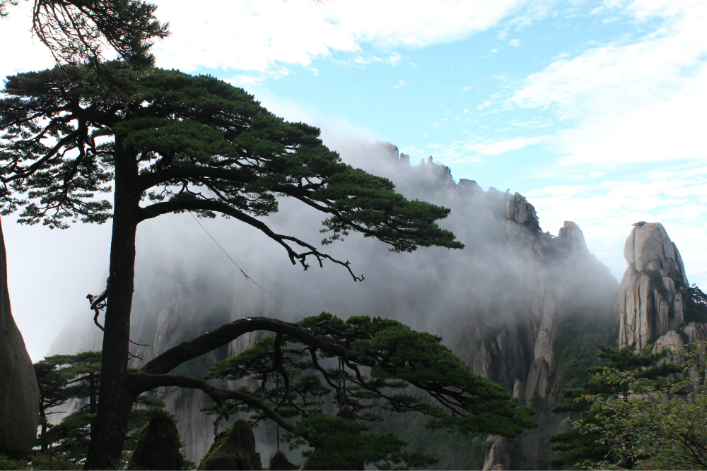 黃山迎客松.去黃山之前的幾天都下雨了,霧氣很重.