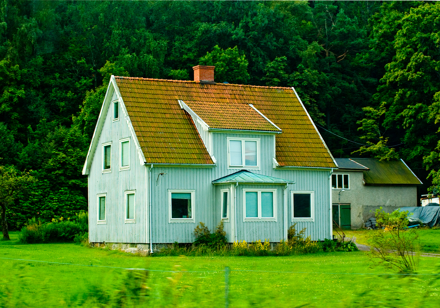 丹麦丹麦乡村风光