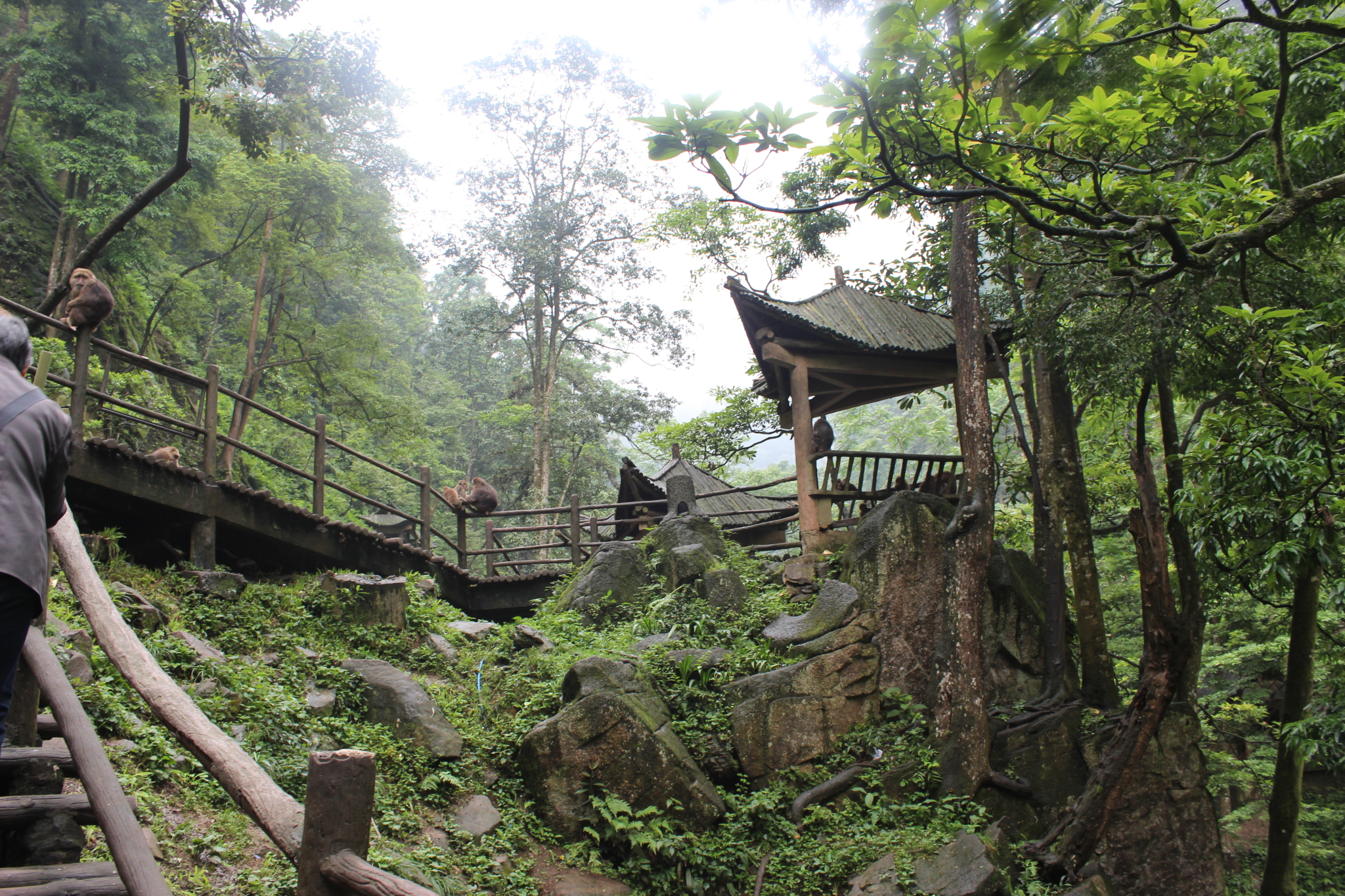 再來峨眉,峨眉山市自助遊攻略 - 馬蜂窩