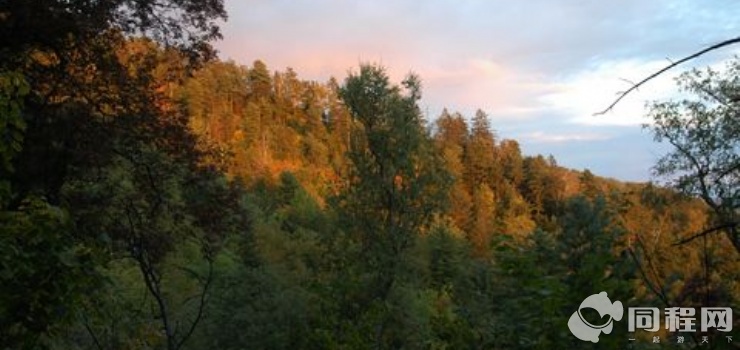 金顶山国家森林公园