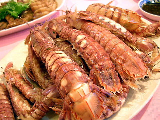 虾目蟹足,状如蜈蚣,触角两对,第一对较长,呈镰刀状,体苍灰色,尾节红色