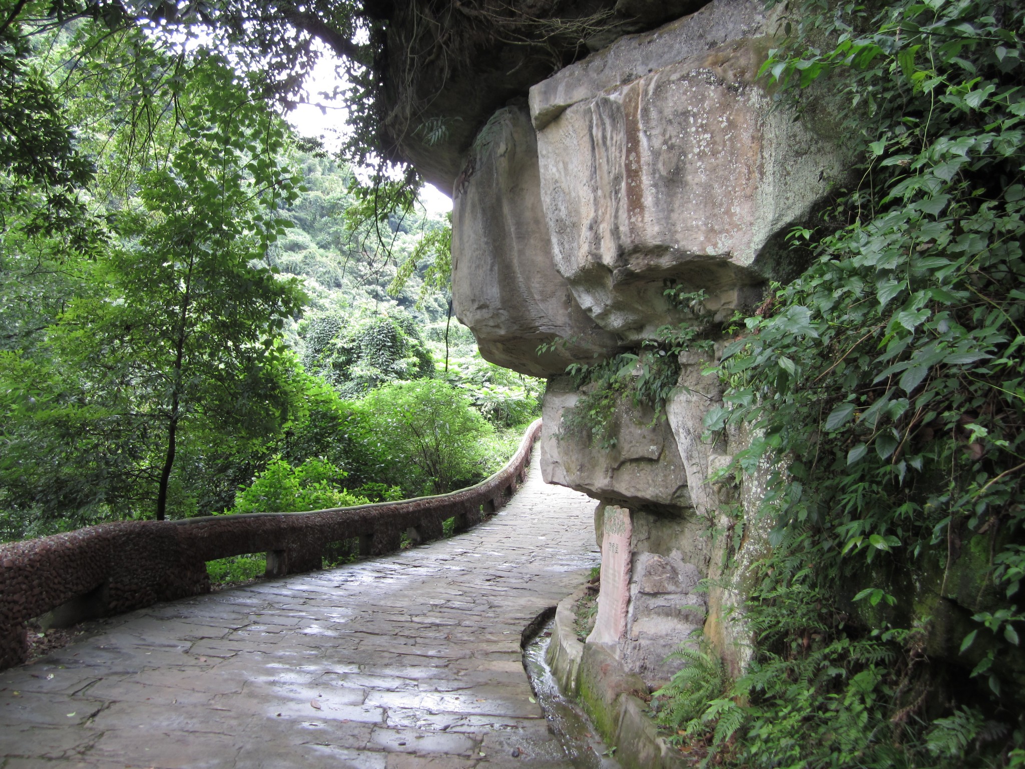 老峨山,柳江古鎮週末遊,眉山市自助遊攻略 - 馬蜂窩