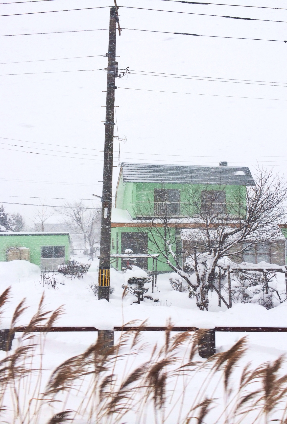 札幌自助遊攻略