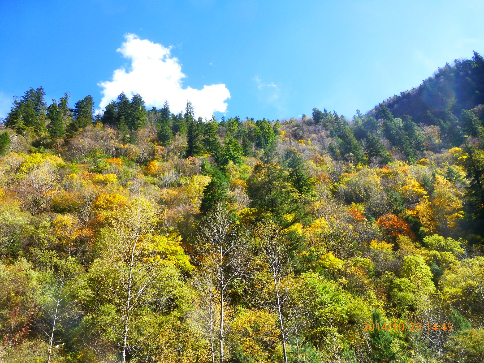 周末之米亚罗毕棚沟之行