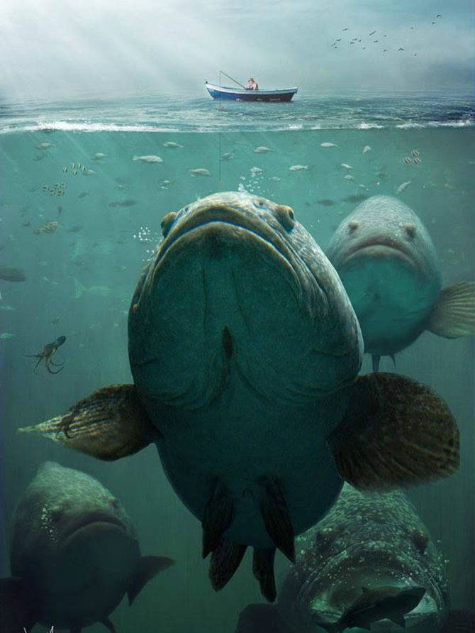 国内首次民间水怪拍摄计划水怪养成日记更新完毕成功揭秘