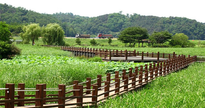 乌山市