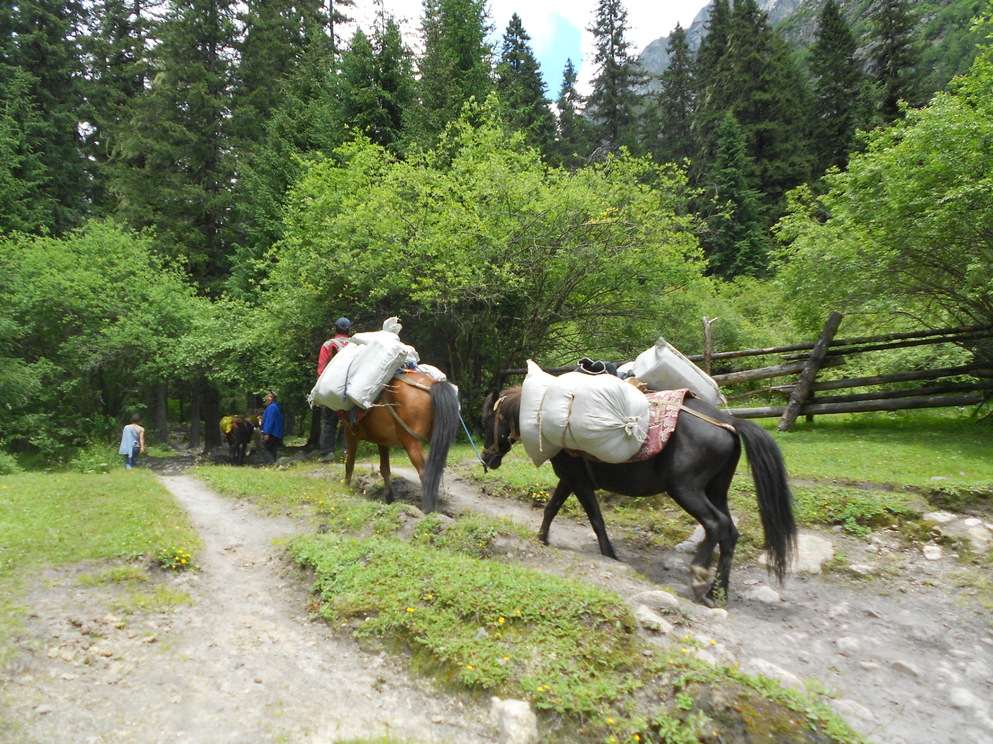四姑娘山木骡子一个让人心灵安静的地方7月21日22日